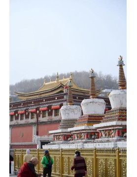 冈底斯108如法之愿第一站-塔尔寺