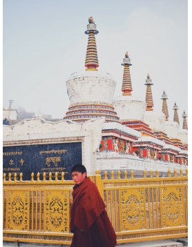 冈底斯如法之愿108天唐卡加持佛礼开启